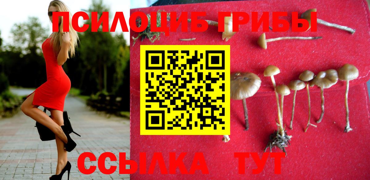 Галлюциногенные грибы мухоморы  Вход с VPN  Вышний Волочёк 
